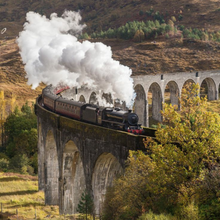 Load image into Gallery viewer, Gravy Train Poster